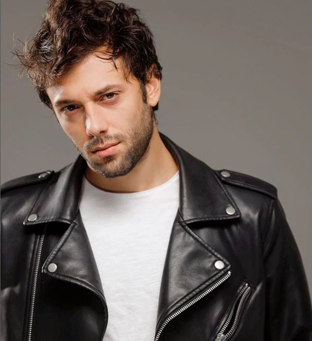 dizi (4)(2)